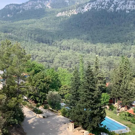 Trinitys Forest Apartment
